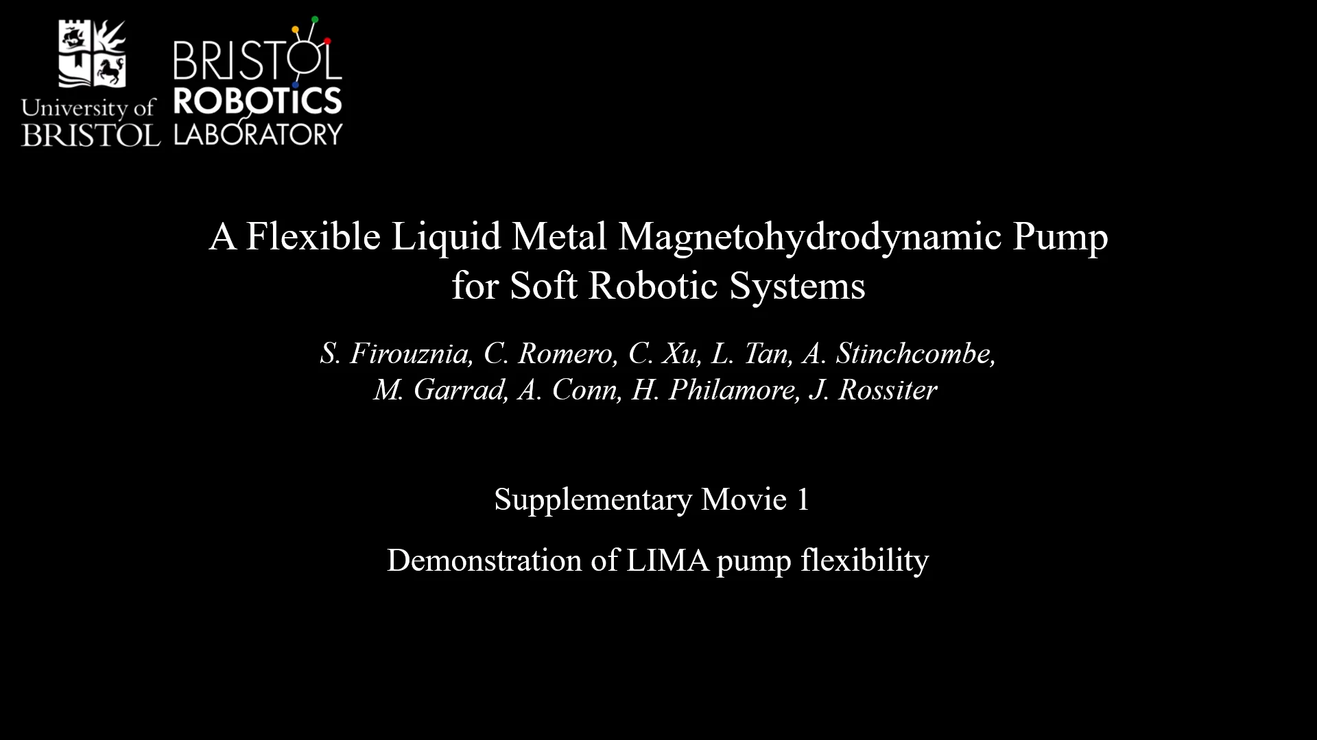 liquid-metal pump